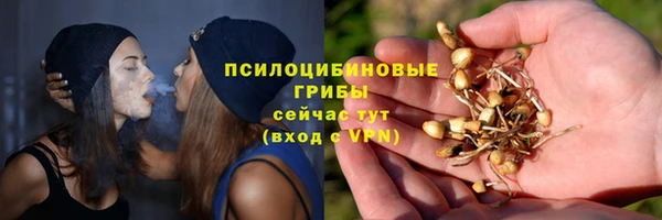 соль курить ск Алзамай