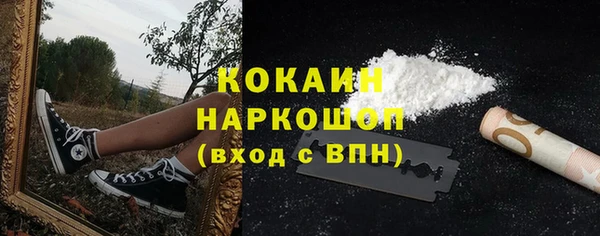 ПСИЛОЦИБИНОВЫЕ ГРИБЫ Алексин