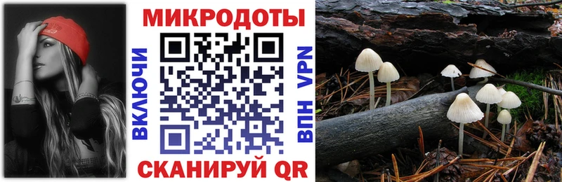 Псилоцибиновые грибы Cubensis  магазин продажи наркотиков  Южа 